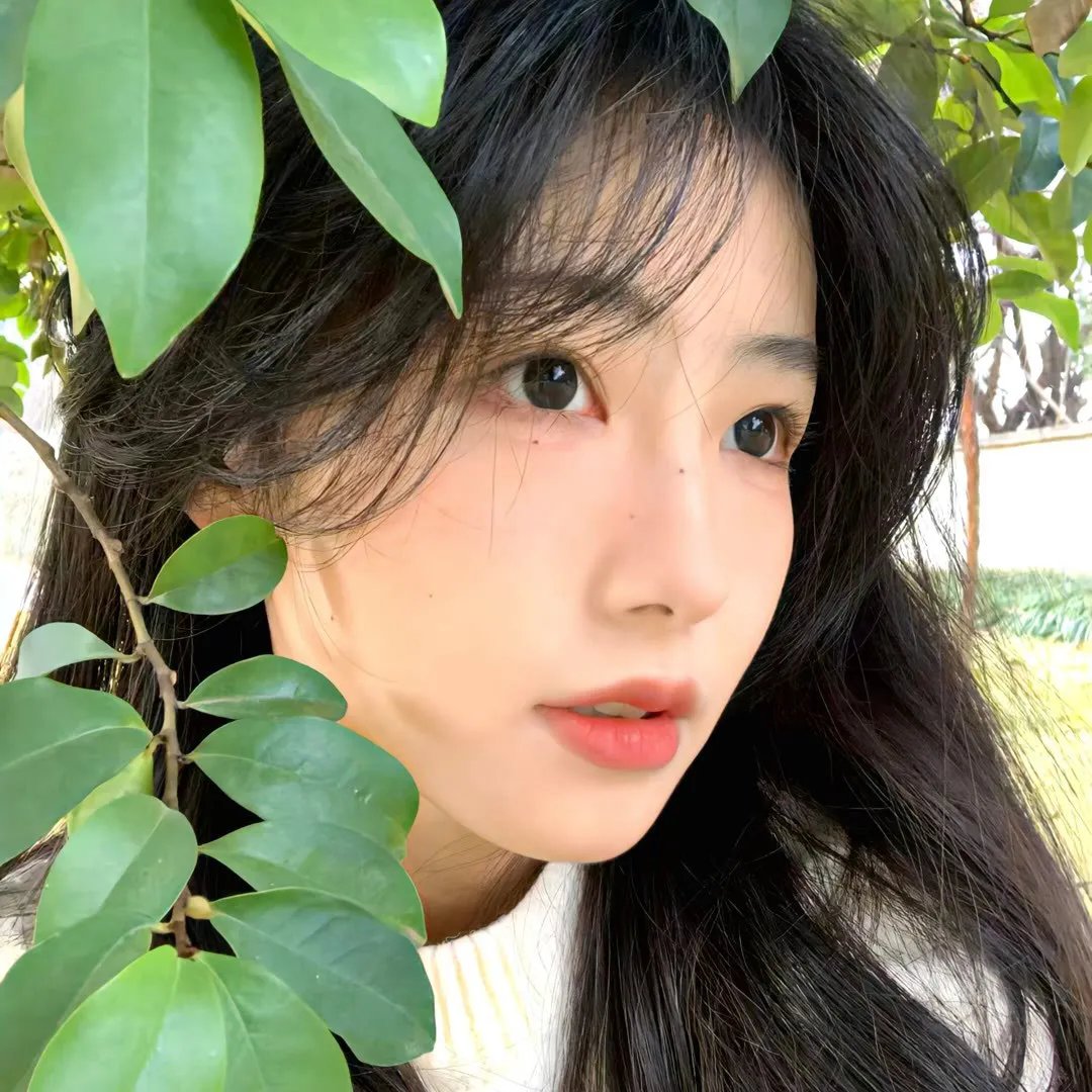 阿衰第四季